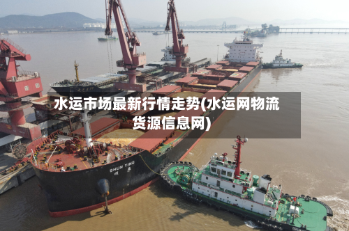 水运市场最新行情走势(水运网物流货源信息网)-第2张图片