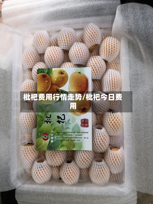 枇杷费用行情走势/枇杷今日费用