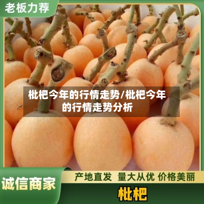 枇杷今年的行情走势/枇杷今年的行情走势分析