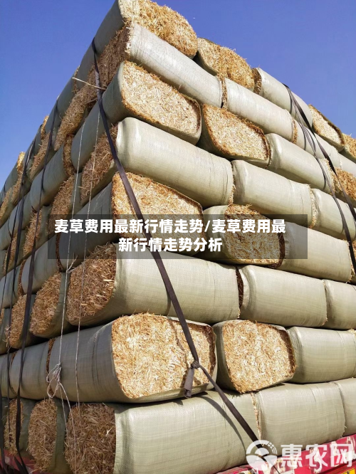 麦草费用最新行情走势/麦草费用最新行情走势分析