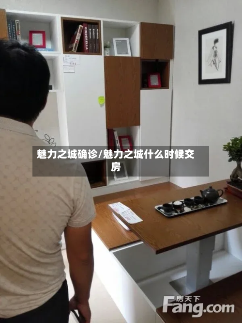 魅力之城确诊/魅力之城什么时候交房