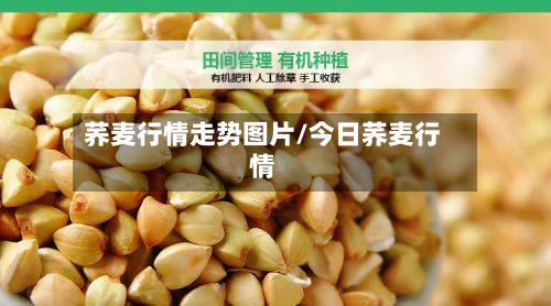 荞麦行情走势图片/今日荞麦行情-第2张图片