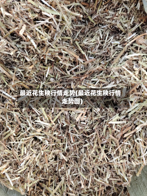 最近花生秧行情走势(最近花生秧行情走势图)