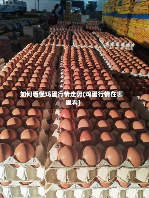如何看懂鸡蛋行情走势(鸡蛋行情在哪里看)-第3张图片