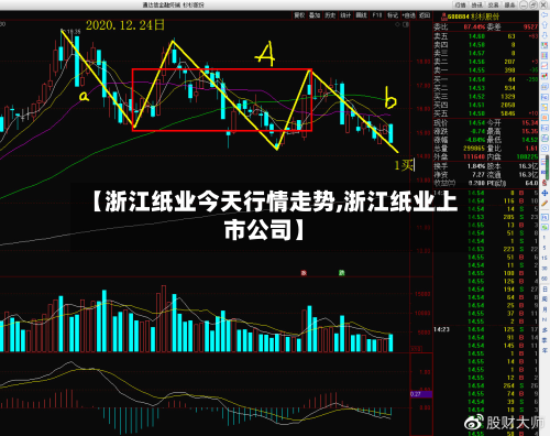 【浙江纸业今天行情走势,浙江纸业上市公司】
