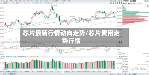 芯片最新行情动向走势/芯片费用走势行情