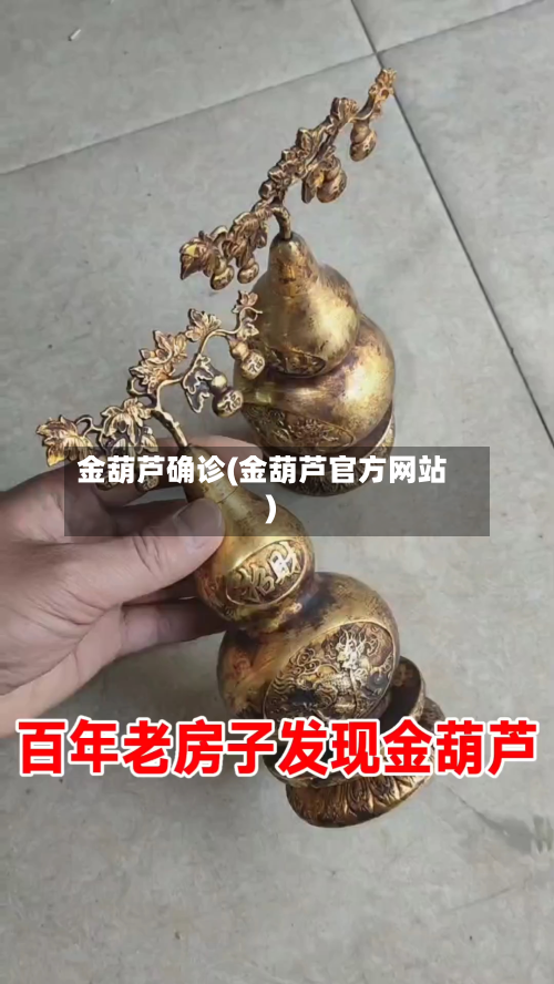 金葫芦确诊(金葫芦官方网站)