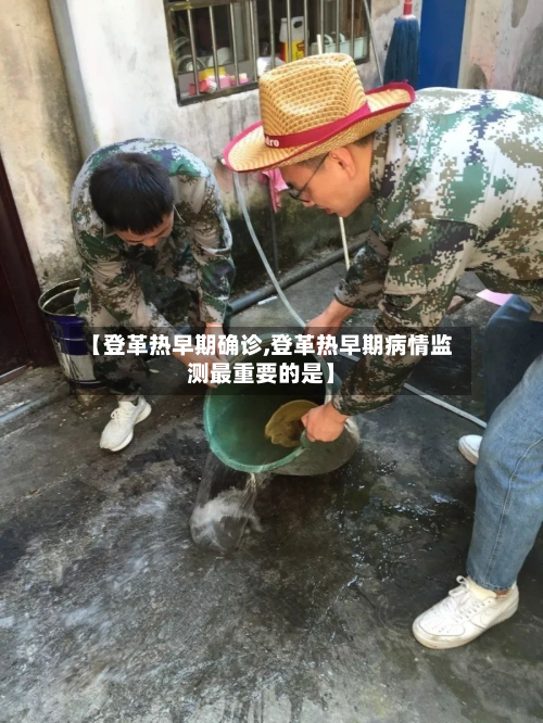 【登革热早期确诊,登革热早期病情监测最重要的是】-第3张图片