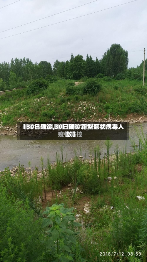 【30日确诊,30日确诊新型冠状病毒人数】