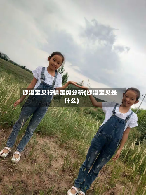 沙漠宝贝行情走势分析(沙漠宝贝是什么)-第3张图片