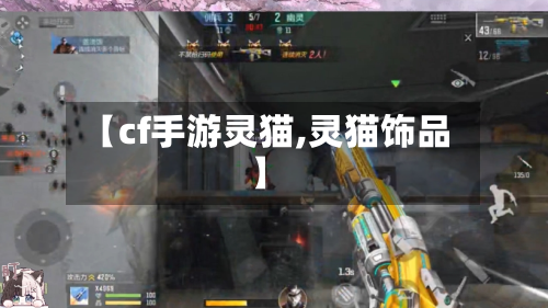 【cf手游灵猫,灵猫饰品】-第2张图片