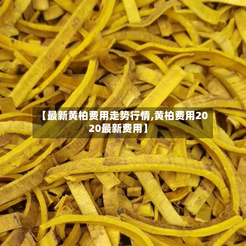 【最新黄柏费用走势行情,黄柏费用2020最新费用】-第3张图片