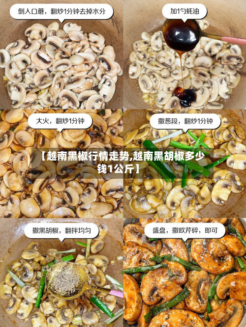【越南黑椒行情走势,越南黑胡椒多少钱1公斤】