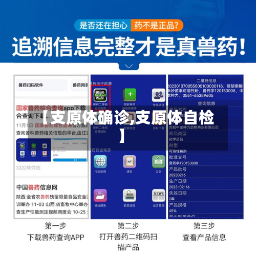 【支原体确诊,支原体自检】