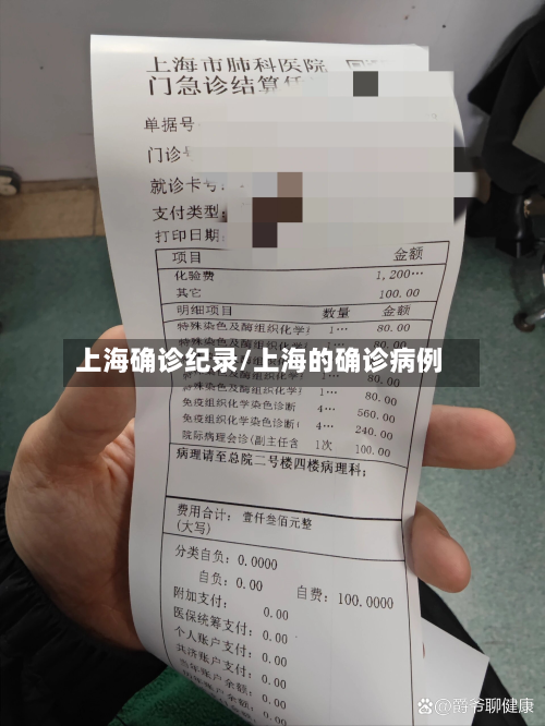 上海确诊纪录/上海的确诊病例-第2张图片