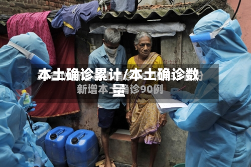 本土确诊累计/本土确诊数量-第3张图片