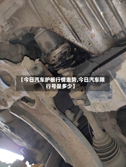 【今日汽车护板行情走势,今日汽车限行号是多少】-第2张图片