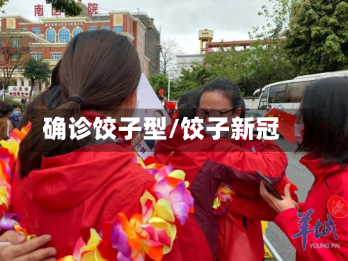确诊饺子型/饺子新冠-第2张图片