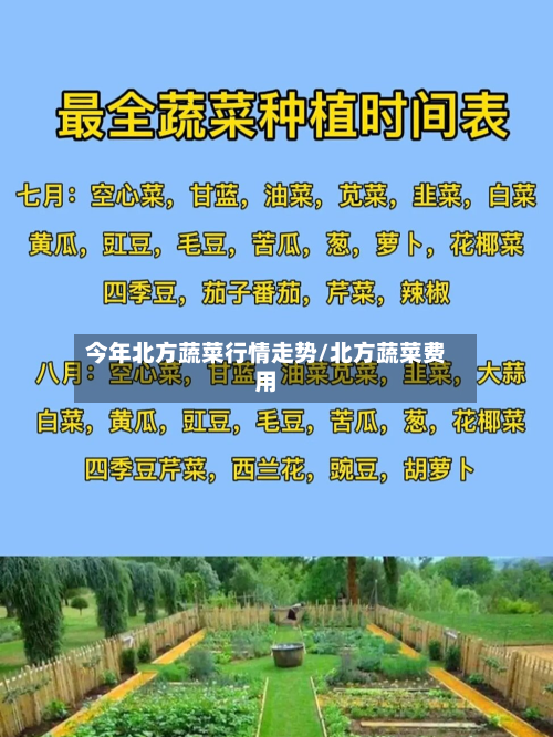今年北方蔬菜行情走势/北方蔬菜费用