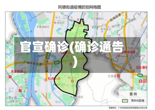 官宣确诊(确诊通告)-第2张图片