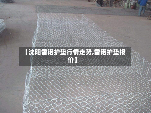 【沈阳雷诺护垫行情走势,雷诺护垫报价】-第2张图片