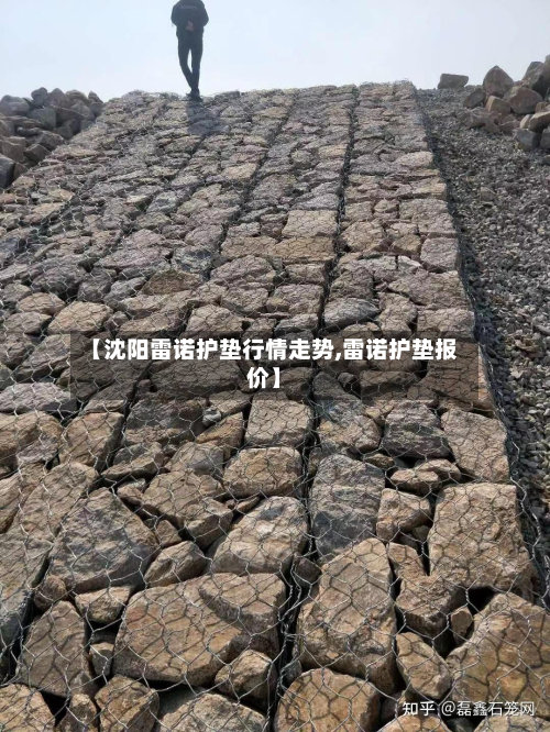 【沈阳雷诺护垫行情走势,雷诺护垫报价】
