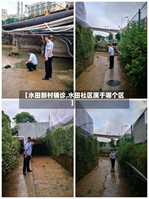 【水田新村确诊,水田社区属于哪个区】