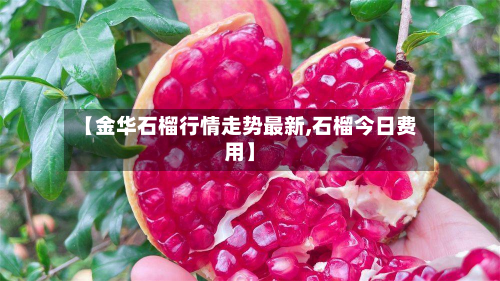 【金华石榴行情走势最新,石榴今日费用】-第3张图片