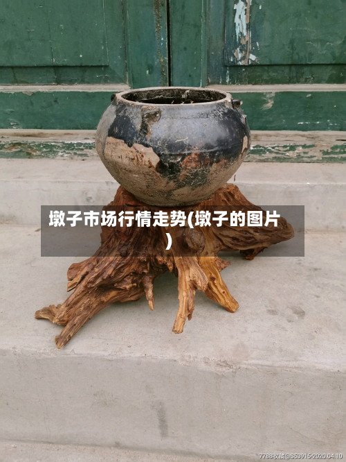 墩子市场行情走势(墩子的图片)
