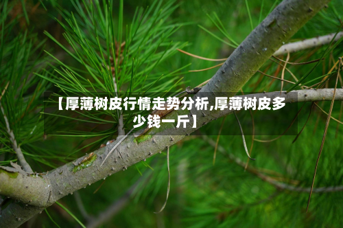 【厚薄树皮行情走势分析,厚薄树皮多少钱一斤】-第2张图片