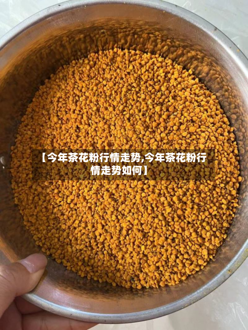 【今年茶花粉行情走势,今年茶花粉行情走势如何】
