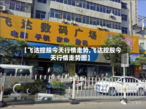 【飞达控股今天行情走势,飞达控股今天行情走势图】-第3张图片