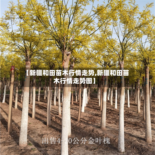 【新疆和田苗木行情走势,新疆和田苗木行情走势图】-第2张图片