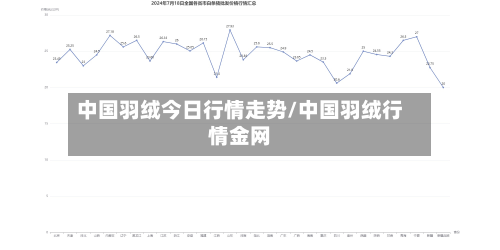 中国羽绒今日行情走势/中国羽绒行情金网-第2张图片