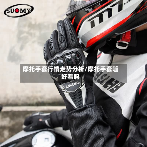 摩托手套行情走势分析/摩托手套嘣好看吗