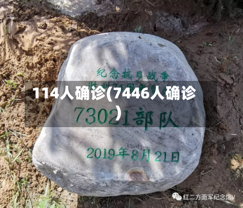 114人确诊(7446人确诊)-第2张图片