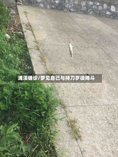 滩溪确诊/梦见自己与持刀歹徒搏斗