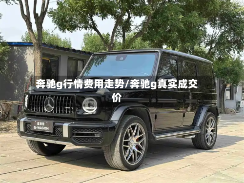 奔驰g行情费用走势/奔驰g真实成交价