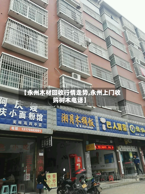 【永州木材回收行情走势,永州上门收购树木电话】-第2张图片