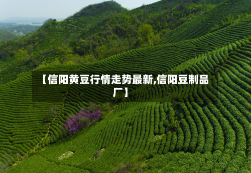 【信阳黄豆行情走势最新,信阳豆制品厂】