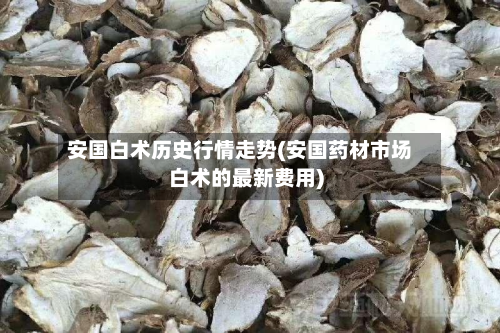 安国白术历史行情走势(安国药材市场白术的最新费用)-第2张图片