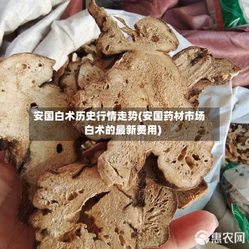 安国白术历史行情走势(安国药材市场白术的最新费用)-第3张图片