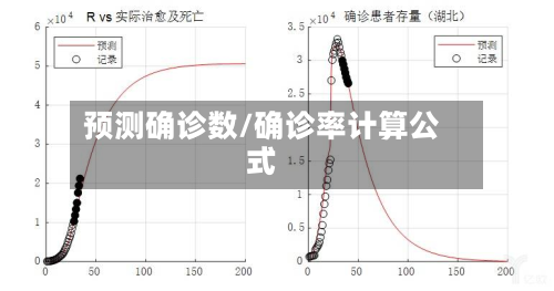 预测确诊数/确诊率计算公式-第2张图片