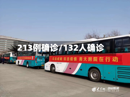 213例确诊/132人确诊