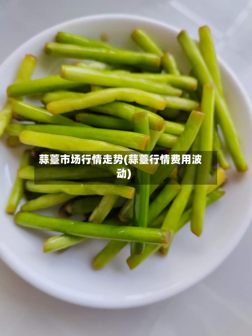 蒜薹市场行情走势(蒜薹行情费用波动)