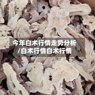 今年白术行情走势分析/白术行情白术行情
