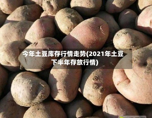 今年土豆库存行情走势(2021年土豆下半年存放行情)