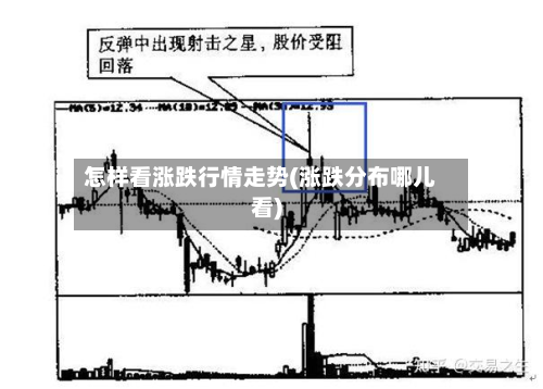 怎样看涨跌行情走势(涨跌分布哪儿看)