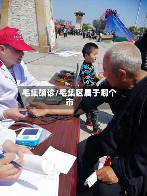 毛集确诊/毛集区属于哪个市