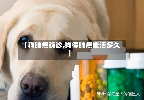 【狗肺癌确诊,狗得肺癌能活多久】